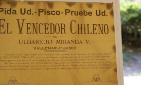Pequeño productor de uva quiere continuar la herencia de "El Vencedor Chileno" en Alto del Carmen [FOTOS]