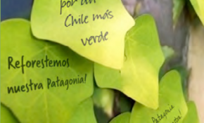 El Desafío 2013 de Reforestemos la Patagonia