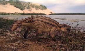 De la Patagonia para el mundo: Descubren nuevo dinosaurio acorazado con extraña arma en su cola [FOTOS]