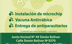 Gratis: Implantarán microchips, pondrán vacunas y entregarán antiparasitarios en Punta Arenas