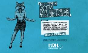 INDH lanza campaña “Vuelve a ser humano” para incentivar en la ciudadanía el conocimiento de los DD.HH.